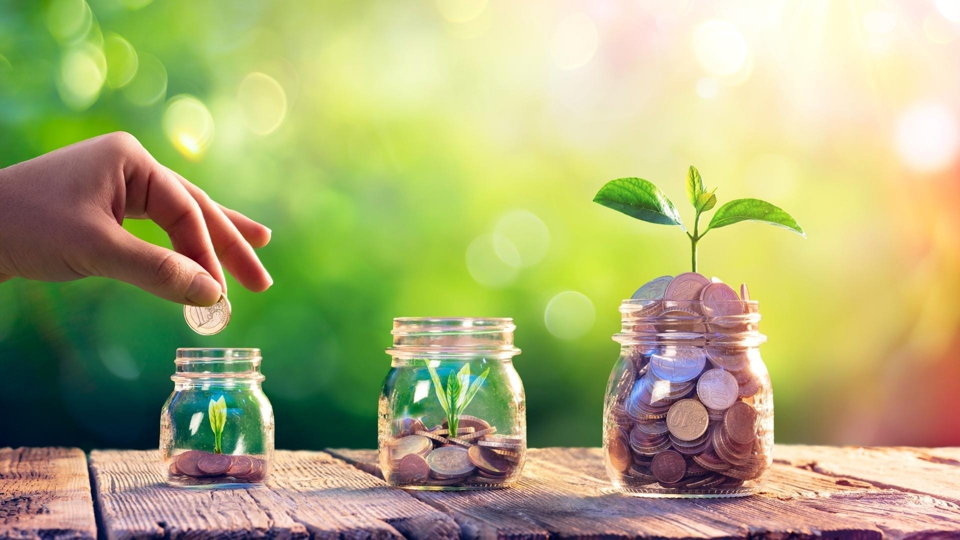 إدارة المال من الادخار إلى الاستثمار 1 إدارة المال